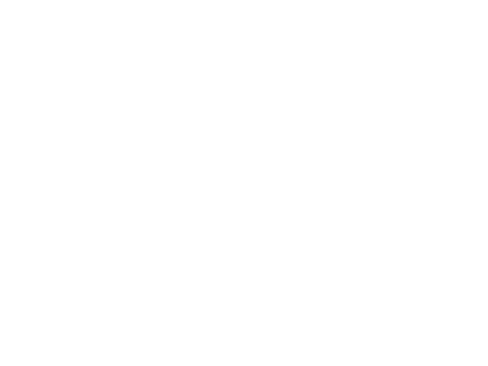 pet cpr and first aid logo