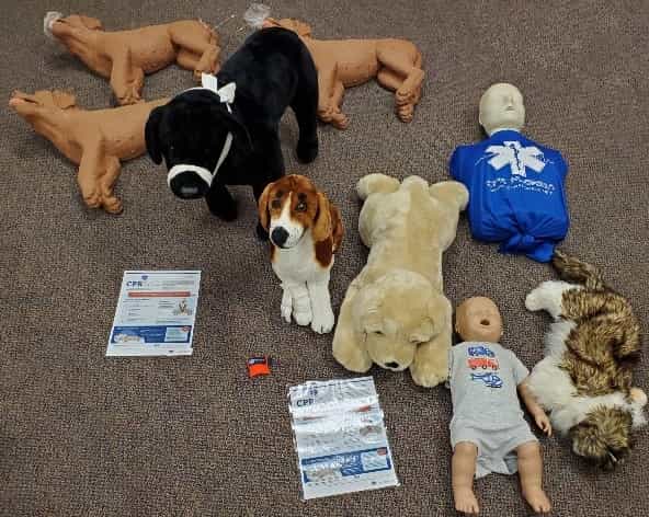 pet cpr first aid supplies