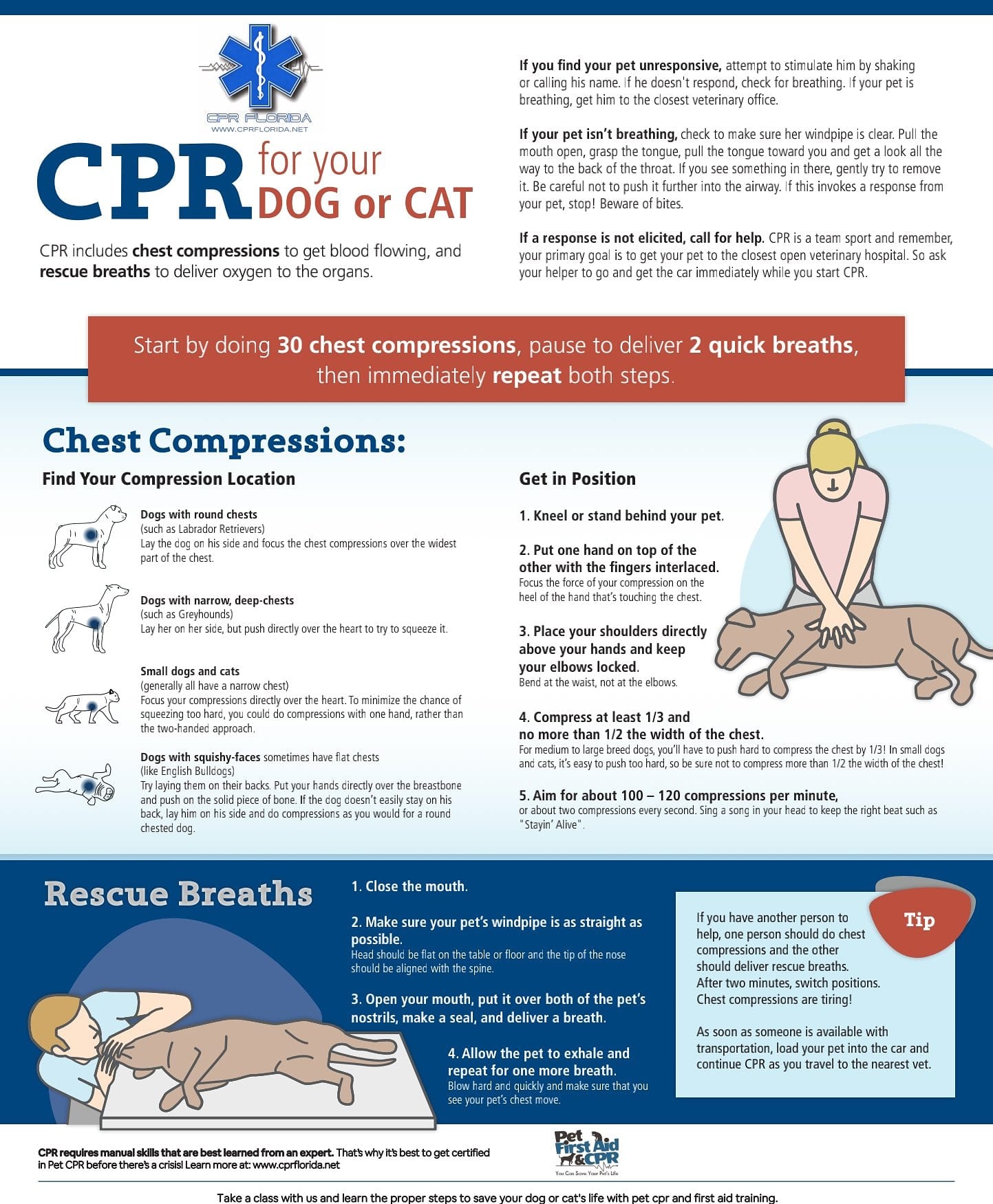 pet cpr skills save a life